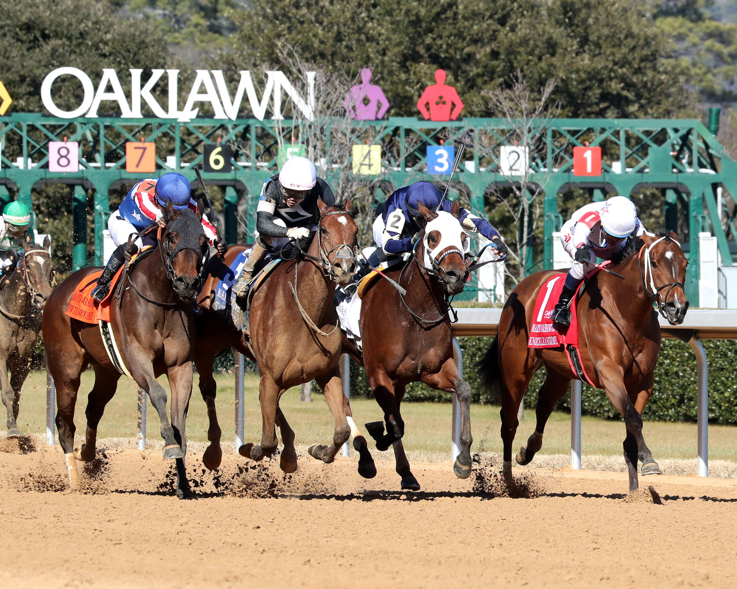 SEARCH PARTY - The Martha Washington Stakes - 02-06-26 - R06 - OP - Finish 02 - Coady Media - Kurtis Coady Photography