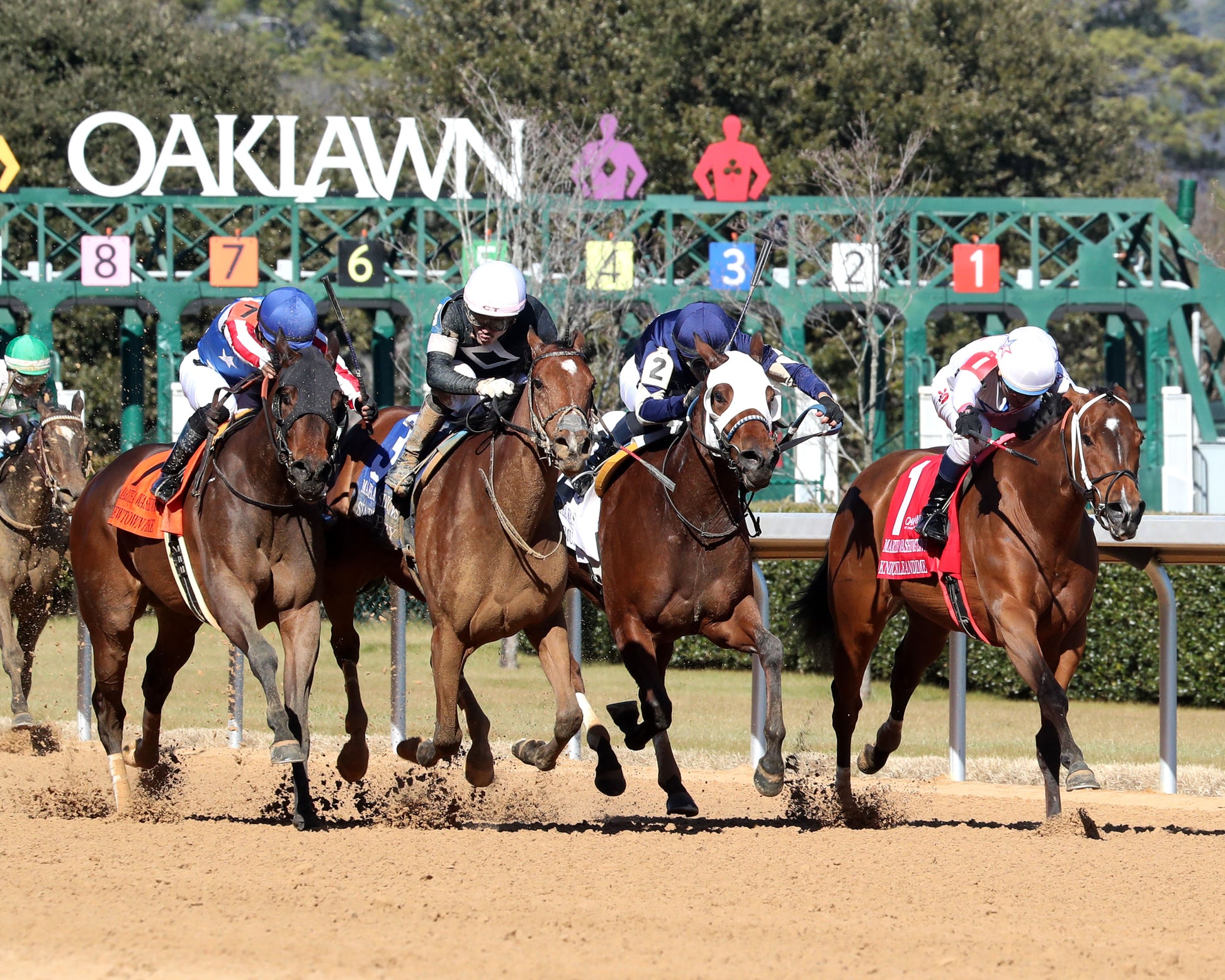 SEARCH PARTY - The Martha Washington Stakes - 02-06-26 - R06 - OP - Finish 02 - Coady Media - Kurtis Coady Photography