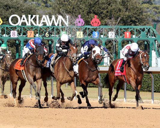 SEARCH PARTY - The Martha Washington Stakes - 02-06-26 - R06 - OP - Finish 02 - Coady Media - Kurtis Coady Photography