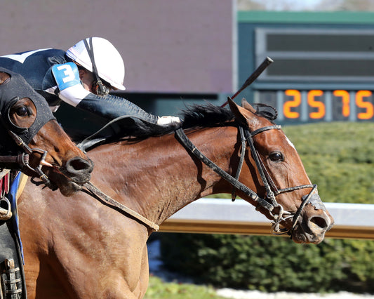 SEARCH PARTY - The Martha Washington Stakes - 02-06-26 - R06 - OP - Finish 03 - Coady Media - Kurtis Coady Photography