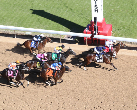 SEARCH PARTY - The Martha Washington Stakes - 02-06-26 - R06 - OP - First Pass 01 - Coady Media - Kurtis Coady Photography