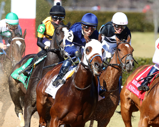 SEARCH PARTY - The Martha Washington Stakes - 02-06-26 - R06 - OP - First Turn 01 - Coady Media - Kurtis Coady Photography