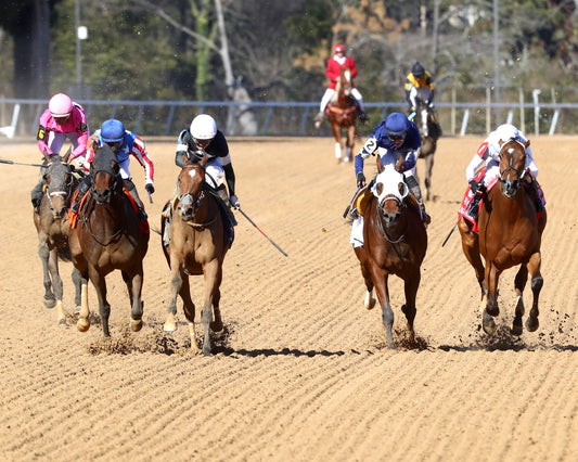 SEARCH PARTY - The Martha Washington Stakes - 02-06-26 - R06 - OP - Head On 01 - Coady Media - Kurtis Coady Photography