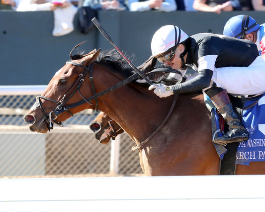 SEARCH PARTY - The Martha Washington Stakes - 02-06-26 - R06 - OP - Inside Finish 01 - Coady Media - Kurtis Coady Photography
