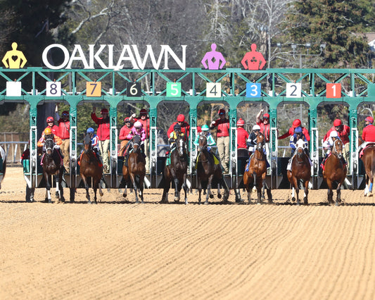 SEARCH PARTY - The Martha Washington Stakes - 02-06-26 - R06 - OP - Post Parade 01 - Coady Media - Kurtis Coady Photography
