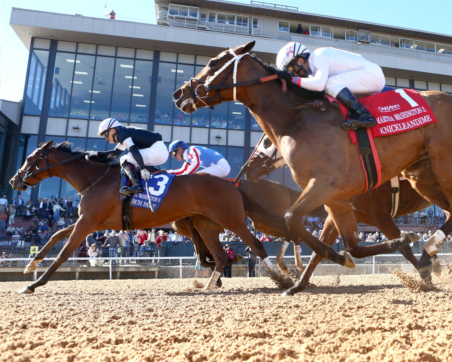SEARCH PARTY - The Martha Washington Stakes - 02-06-26 - R06 - OP - Under Rail 01 - Coady Media - Kurtis Coady Photography