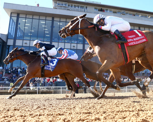 SEARCH PARTY - The Martha Washington Stakes - 02-06-26 - R06 - OP - Under Rail 01 - Coady Media - Kurtis Coady Photography