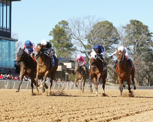 SEARCH PARTY - The Martha Washington Stakes - 02-06-26 - R06 - OP - Under Rail 02 - Coady Media - Kurtis Coady Photography