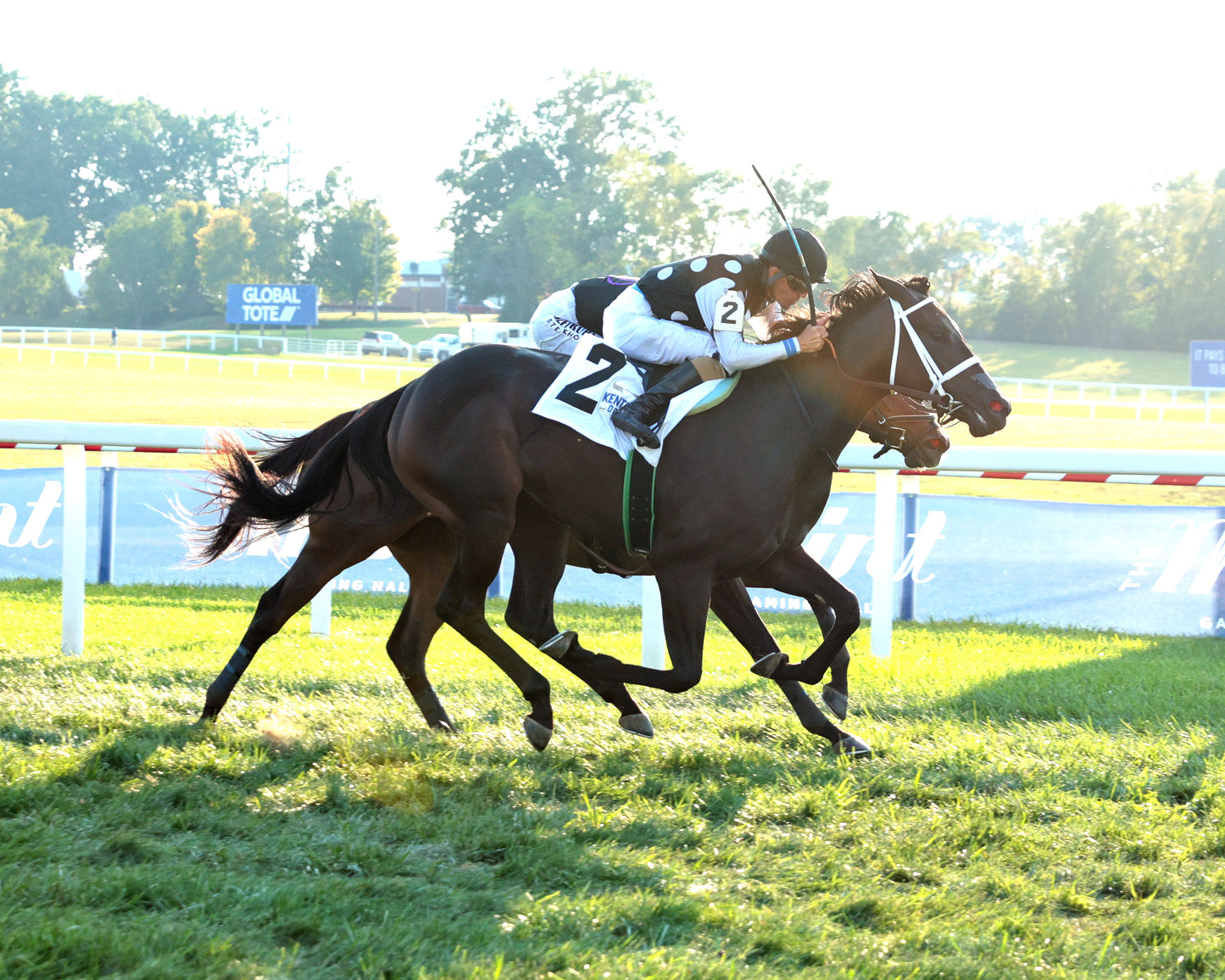SENECA PARK - The Untapable Stakes - 08-30-26 - R10 - KD - Finish 01