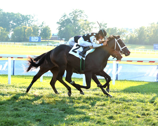 SENECA PARK - The Untapable Stakes - 08-30-26 - R10 - KD - Finish 01