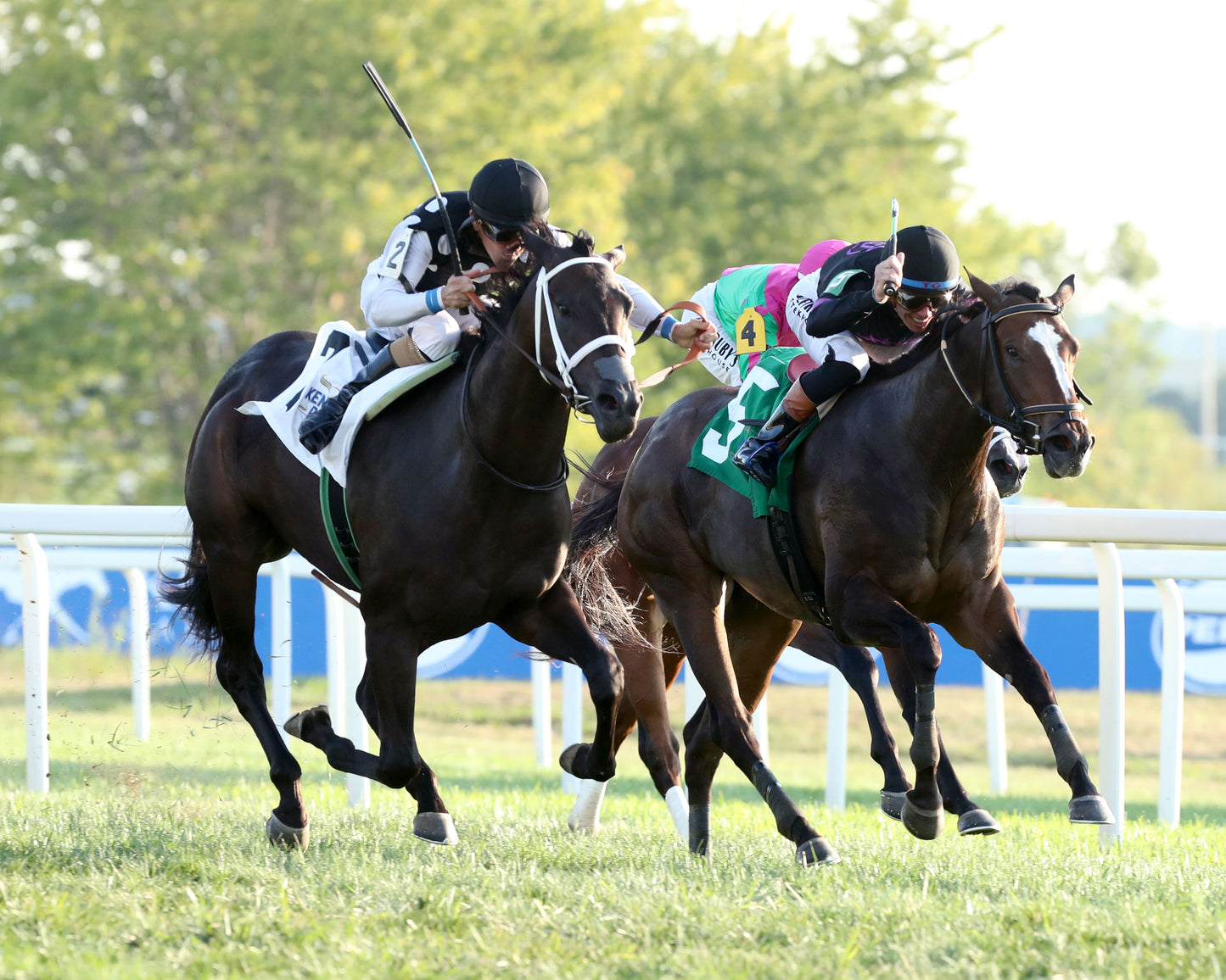 SENECA PARK - The Untapable Stakes - 08-30-26 - R10 - KD - Finish 02