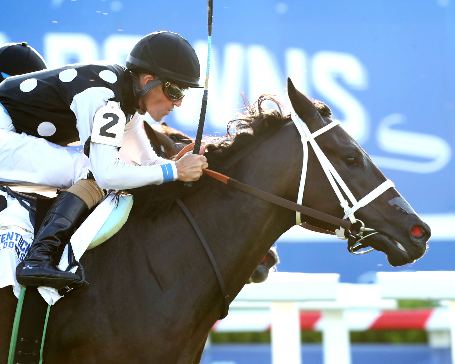 SENECA PARK - The Untapable Stakes - 08-30-26 - R10 - KD - Finish 04