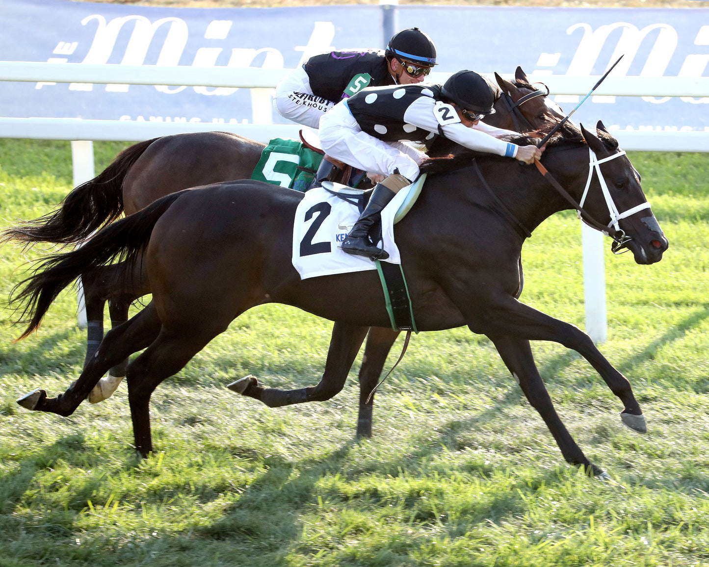 SENECA PARK - The Untapable Stakes - 08-30-26 - R10 - KD - Aerial Finish 01
