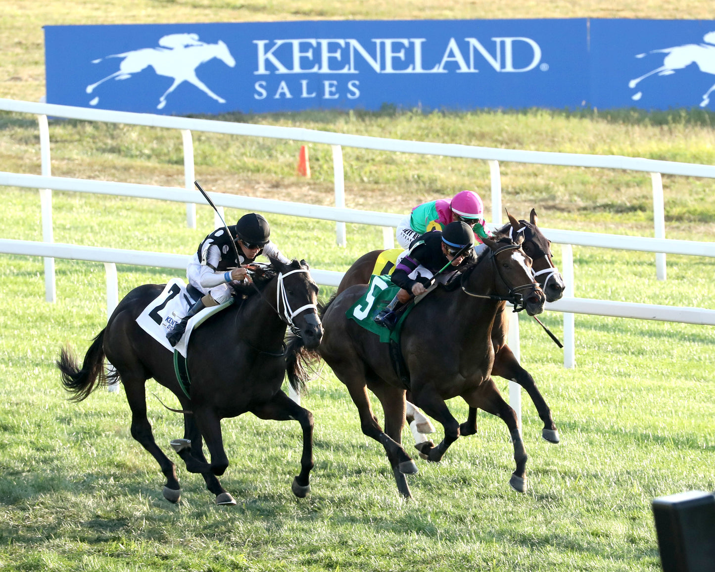 SENECA PARK - The Untapable Stakes - 08-30-26 - R10 - KD - Aerial 02