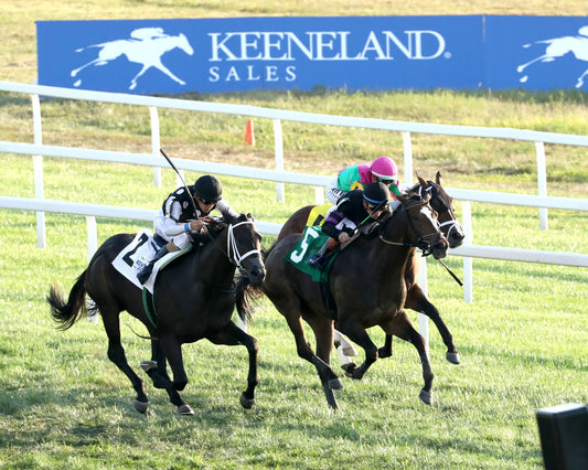 SENECA PARK - The Untapable Stakes - 08-30-26 - R10 - KD - Aerial 02