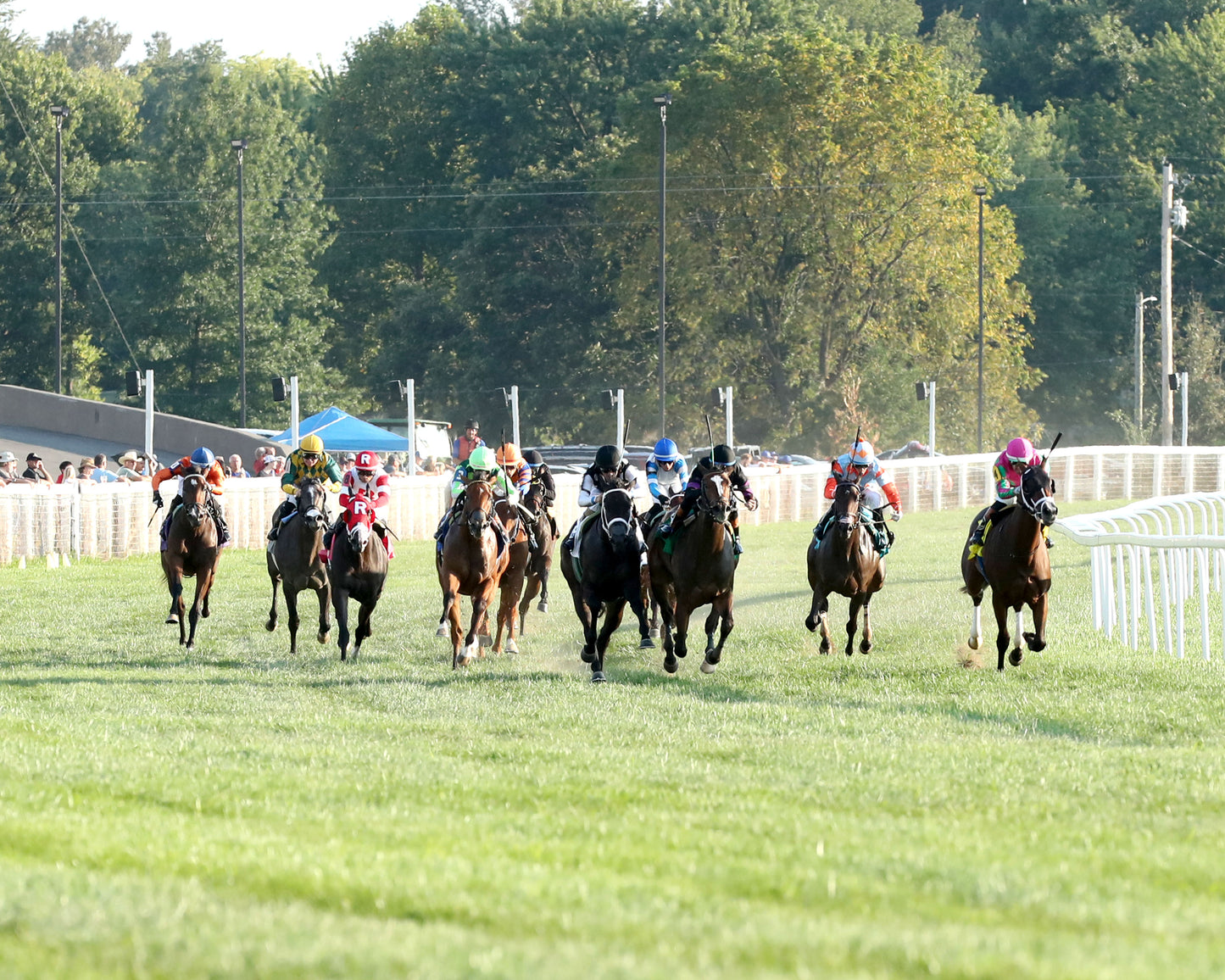 SENECA PARK - The Untapable Stakes - 08-30-26 - R10 - KD - Head On 01
