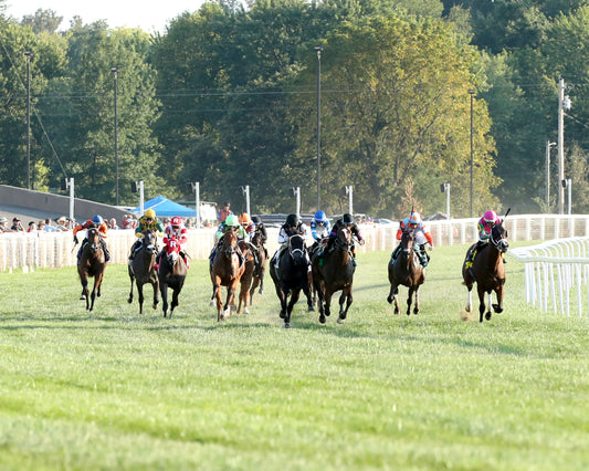 SENECA PARK - The Untapable Stakes - 08-30-26 - R10 - KD - Head On 01