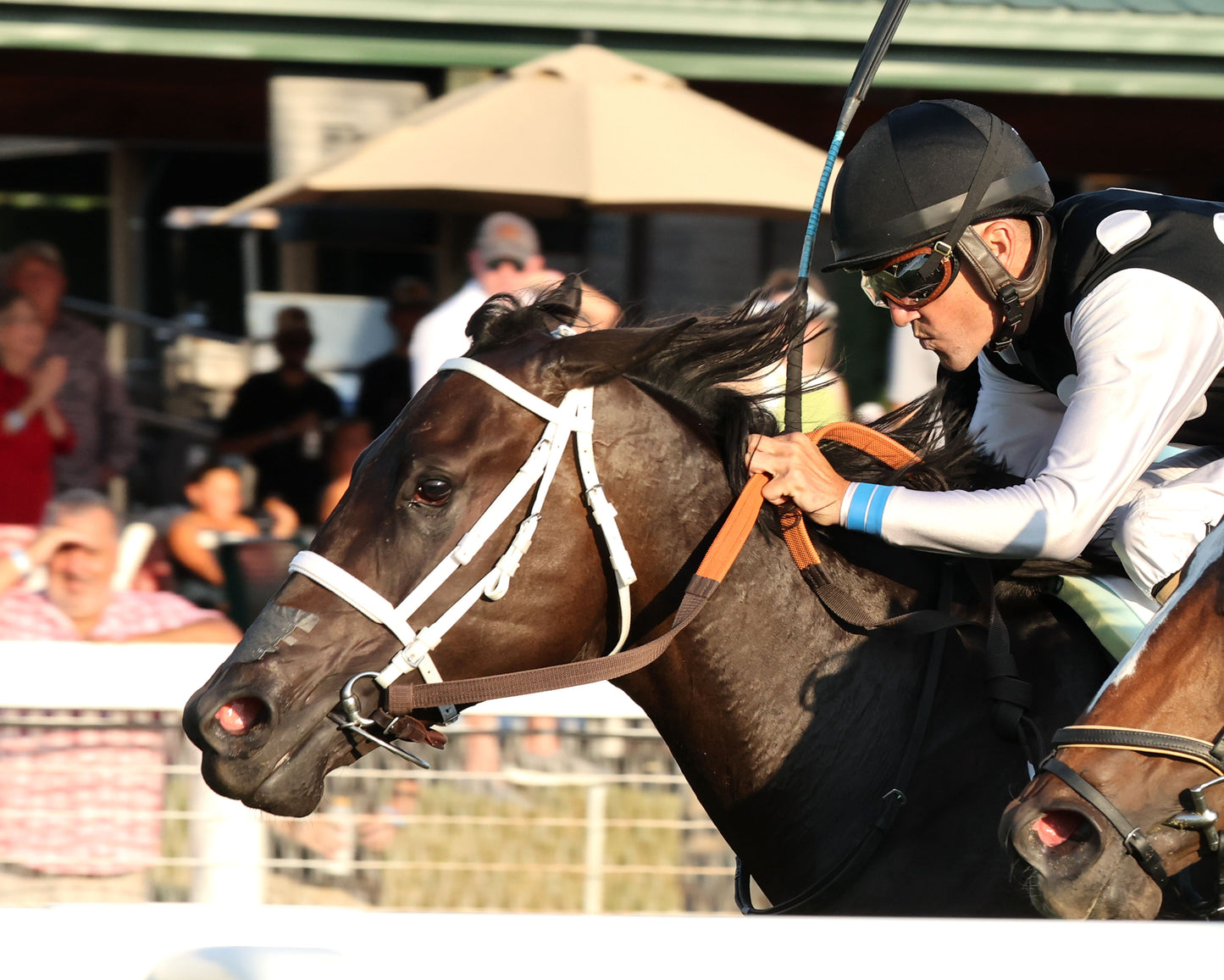 SENECA PARK - The Untapable Stakes - 08-30-26 - R10 - KD - Inside Finish 01