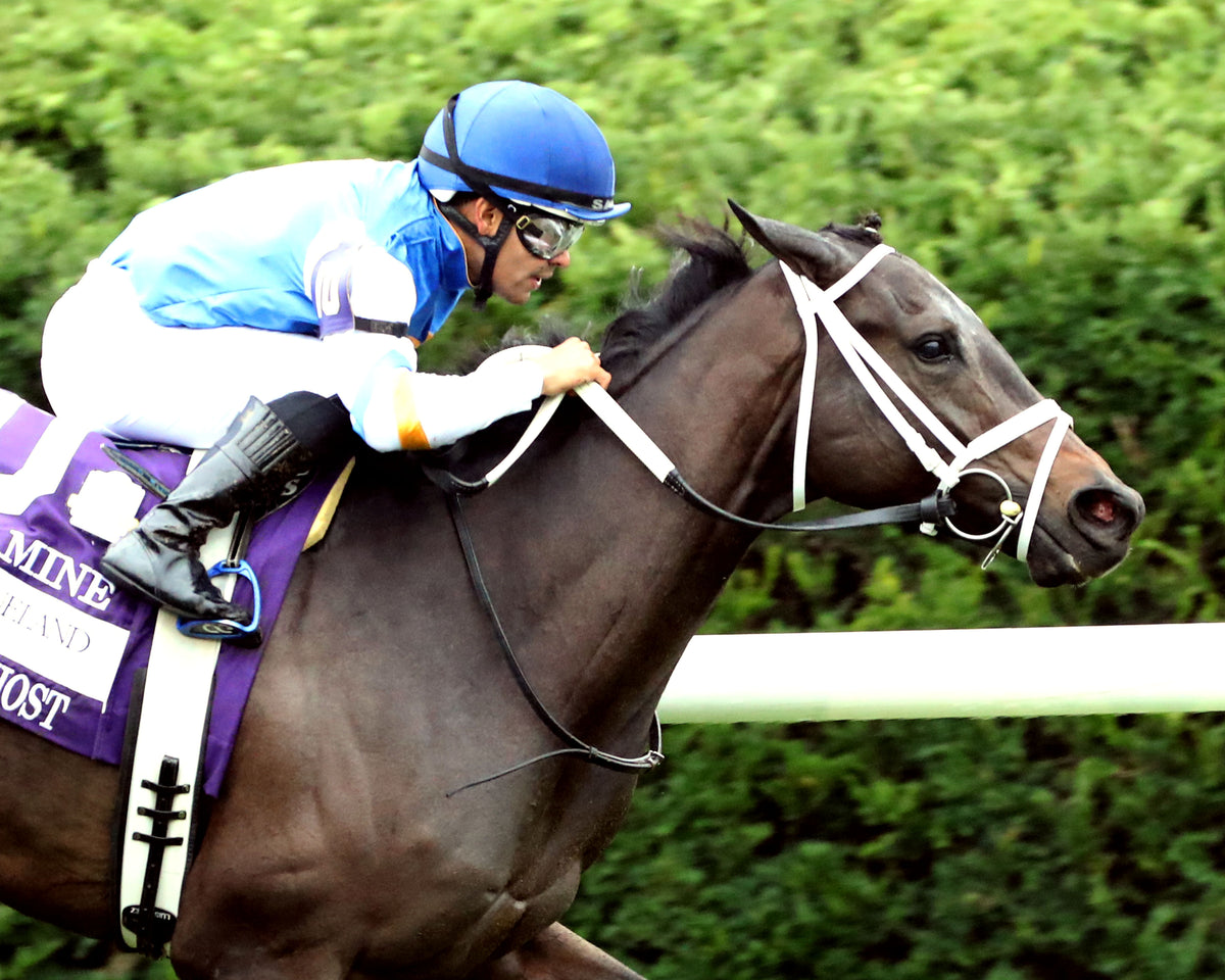 SERENAS GHOST - 100226 - Race 08 - KEE  The Jessamine G2 - Finish 03