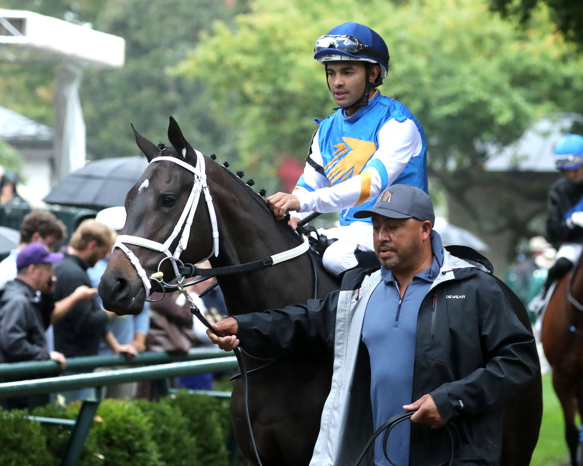 SERENAS GHOST - 100226 - Race 08 - KEE  The Jessamine G2 - Paddock 02