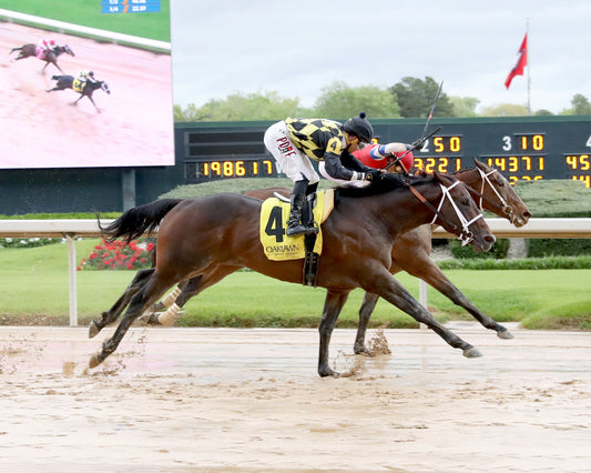 SEVENTIES MUSIC - The Rainbow Stakes - 53rd Running - 04-04-26 - R10 - Finish 01 - Coady Media - Kurtis Coady Photography