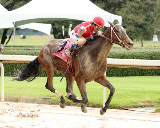 SEVENTIES MUSIC - The Rainbow Stakes - 53rd Running - 04-04-26 - R10 - Finish 02 - Coady Media - Kurtis Coady Photography