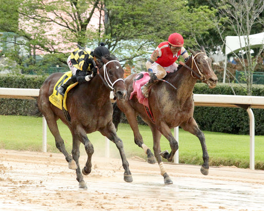SEVENTIES MUSIC - The Rainbow Stakes - 53rd Running - 04-04-26 - R10 - Finish 03 - Coady Media - Kurtis Coady Photography