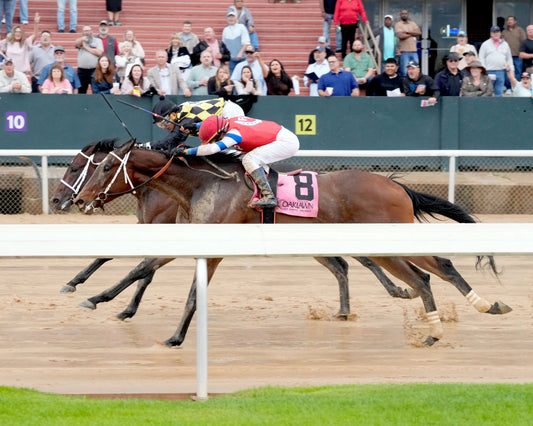 SEVENTIES MUSIC - The Rainbow Stakes - 53rd Running - 04-04-26 - R10 - Inside Finish 01 - Coady Media - Kurtis Coady Photography