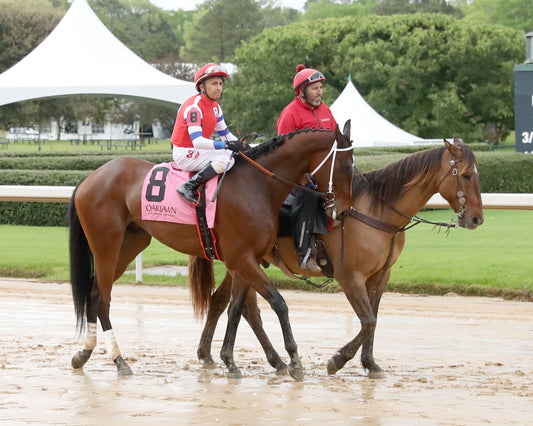 SEVENTIES MUSIC - The Rainbow Stakes - 53rd Running - 04-04-26 - R10 - Post Parade 01 - Coady Media - Kurtis Coady Photography