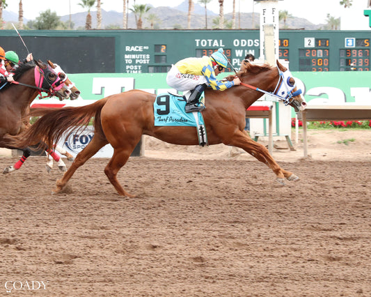 SHINY NOVA - Allred Brothers Stakes - 02-16-26 - R02 - Turf Paradise - Finish - Coady Media - Kurtis Coady Photography