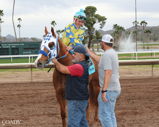 SHINY NOVA - Allred Brothers Stakes - 02-16-26 - R02 - Turf Paradise - Return Shot 2 - Coady Media - Kurtis Coady Photography