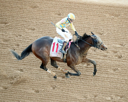 SILENT TACTIC - The Southwest Stakes G3 - 02-06-26 - R11 - OP - Aerial Finish 01 - Coady Media - Kurtis Coady Photography
