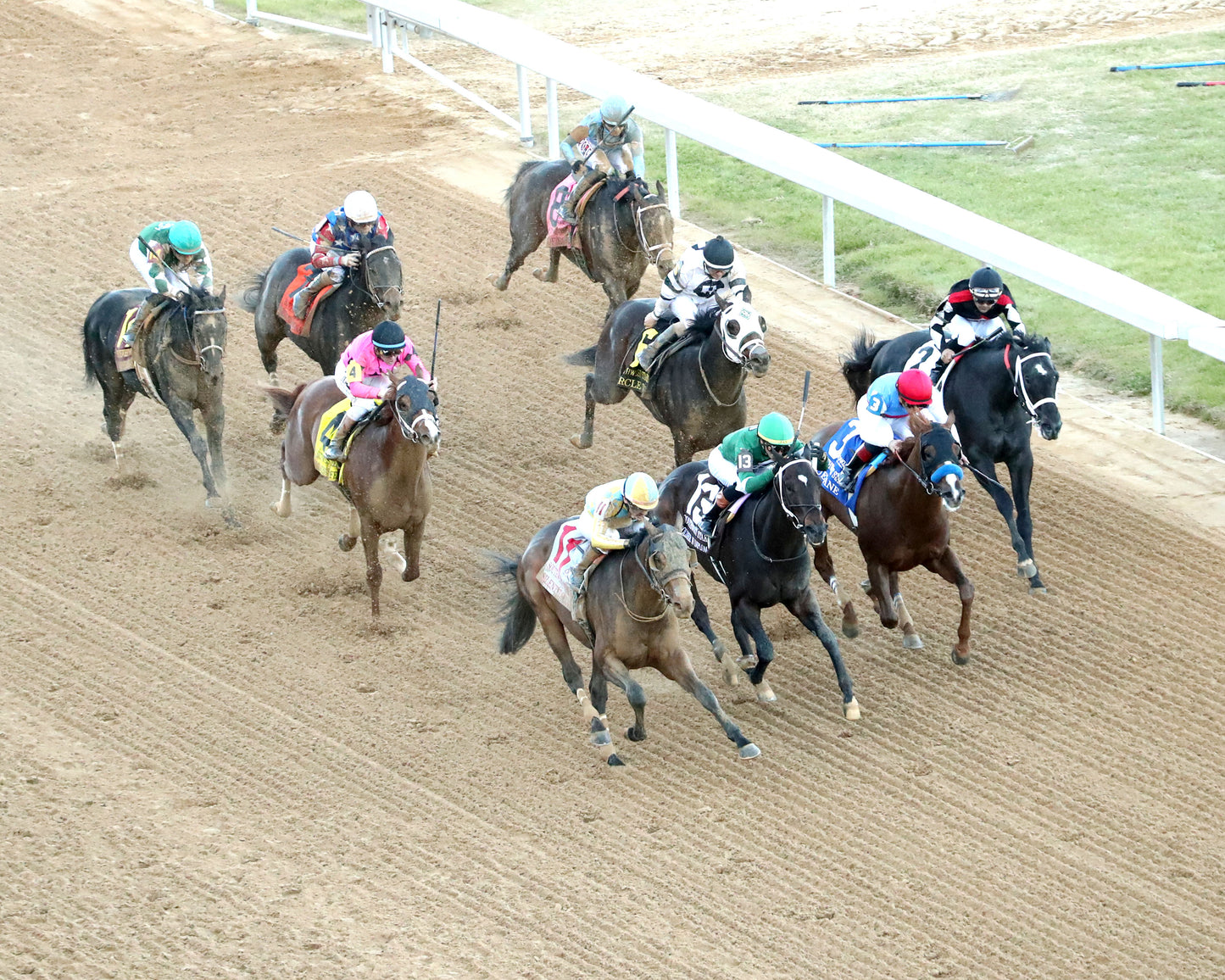 SILENT TACTIC - The Southwest Stakes G3 - 02-06-26 - R11 - OP - Aerial Finish 02 - Coady Media - Kurtis Coady Photography