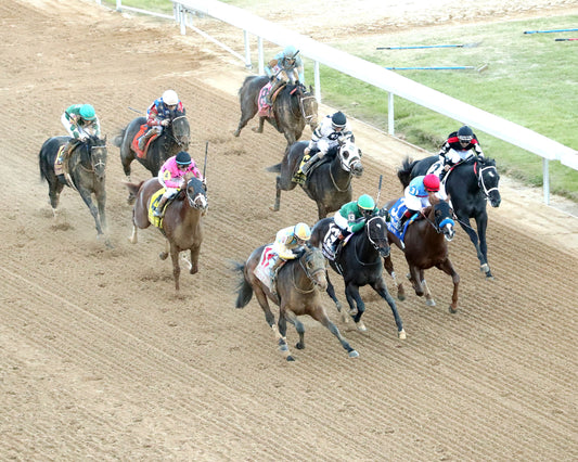 SILENT TACTIC - The Southwest Stakes G3 - 02-06-26 - R11 - OP - Aerial Finish 02 - Coady Media - Kurtis Coady Photography