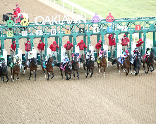 SILENT TACTIC - The Southwest Stakes G3 - 02-06-26 - R11 - OP - Aerial Start 01 - Coady Media - Kurtis Coady Photography