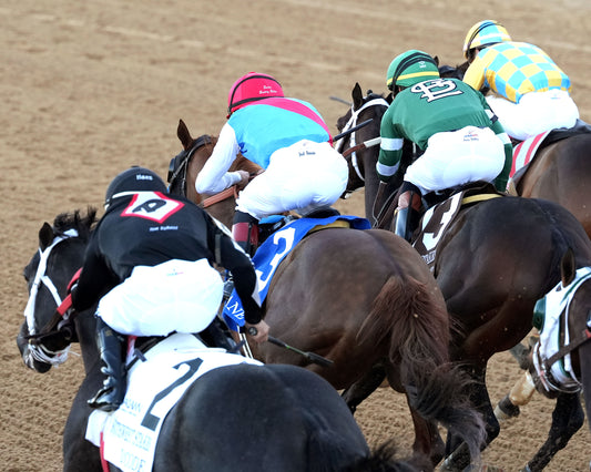 SILENT TACTIC - The Southwest Stakes G3 - 02-06-26 - R11 - OP - After Wire 01 - Coady Media - Kurtis Coady Photography