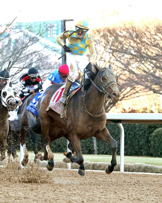 SILENT TACTIC - The Southwest Stakes G3 - 02-06-26 - R11 - OP - Celebration 01 - Coady Media - Kurtis Coady Photography