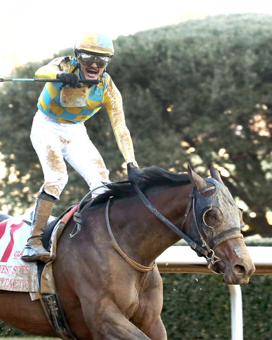 SILENT TACTIC - The Southwest Stakes G3 - 02-06-26 - R11 - OP - Celebration 02 - Coady Media - Kurtis Coady Photography