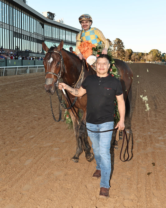SILENT TACTIC - The Southwest Stakes G3 - 02-06-26 - R11 - OP - Come Back 01 - Coady Media - Kurtis Coady Photography