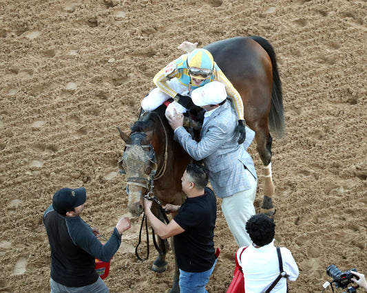 SILENT TACTIC - The Southwest Stakes G3 - 02-06-26 - R11 - OP - Come Back 02 - Coady Media - Kurtis Coady Photography