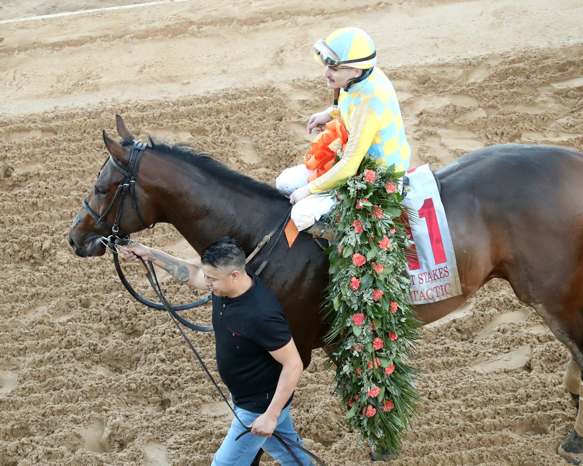SILENT TACTIC - The Southwest Stakes G3 - 02-06-26 - R11 - OP - Come Back 03 - Coady Media - Kurtis Coady Photography