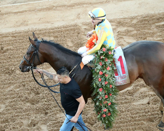 SILENT TACTIC - The Southwest Stakes G3 - 02-06-26 - R11 - OP - Come Back 03 - Coady Media - Kurtis Coady Photography