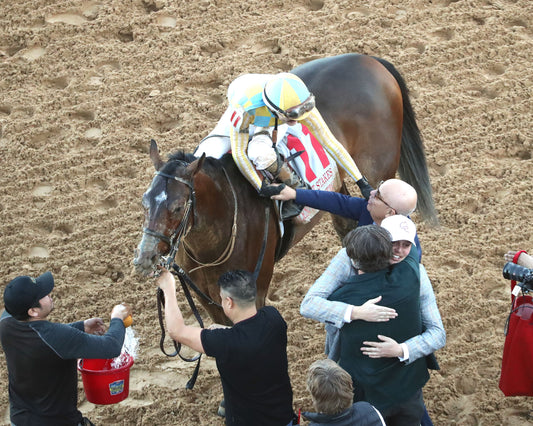 SILENT TACTIC - The Southwest Stakes G3 - 02-06-26 - R11 - OP - Come Back 04 - Coady Media - Kurtis Coady Photography