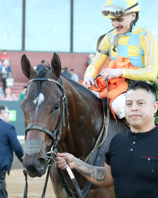 SILENT TACTIC - The Southwest Stakes G3 - 02-06-26 - R11 - OP - Come Back 05 - Coady Media - Kurtis Coady Photography