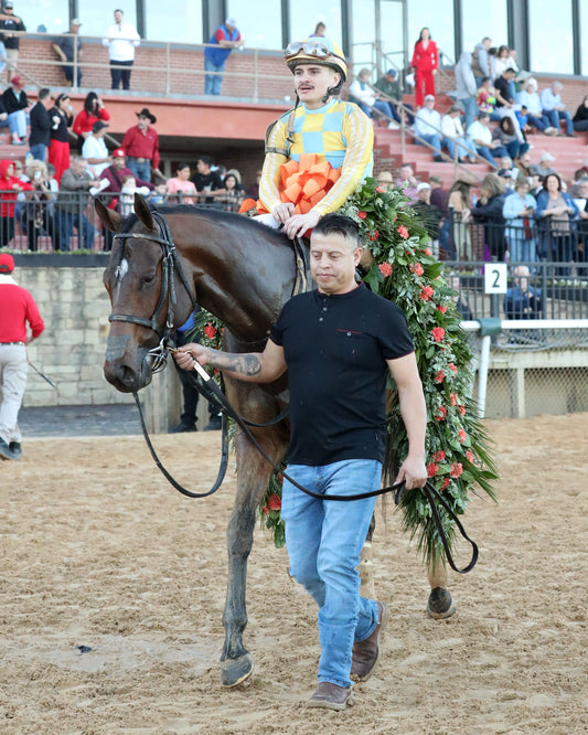 SILENT TACTIC - The Southwest Stakes G3 - 02-06-26 - R11 - OP - Come Back 06 - Coady Media - Kurtis Coady Photography