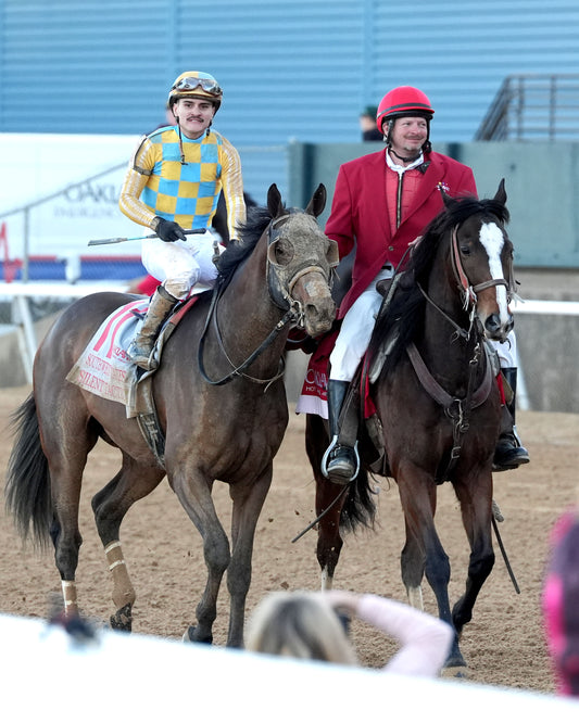 SILENT TACTIC - The Southwest Stakes G3 - 02-06-26 - R11 - OP - Come Back 07 - Coady Media - Kurtis Coady Photography