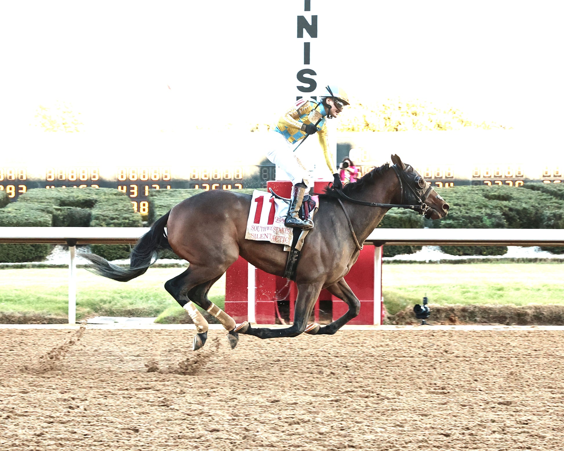 SILENT TACTIC - The Southwest Stakes G3 - 02-06-26 - R11 - OP - Finish 01 - Coady Media - Kurtis Coady Photography