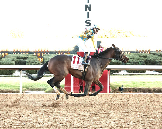 SILENT TACTIC - The Southwest Stakes G3 - 02-06-26 - R11 - OP - Finish 01 - Coady Media - Kurtis Coady Photography