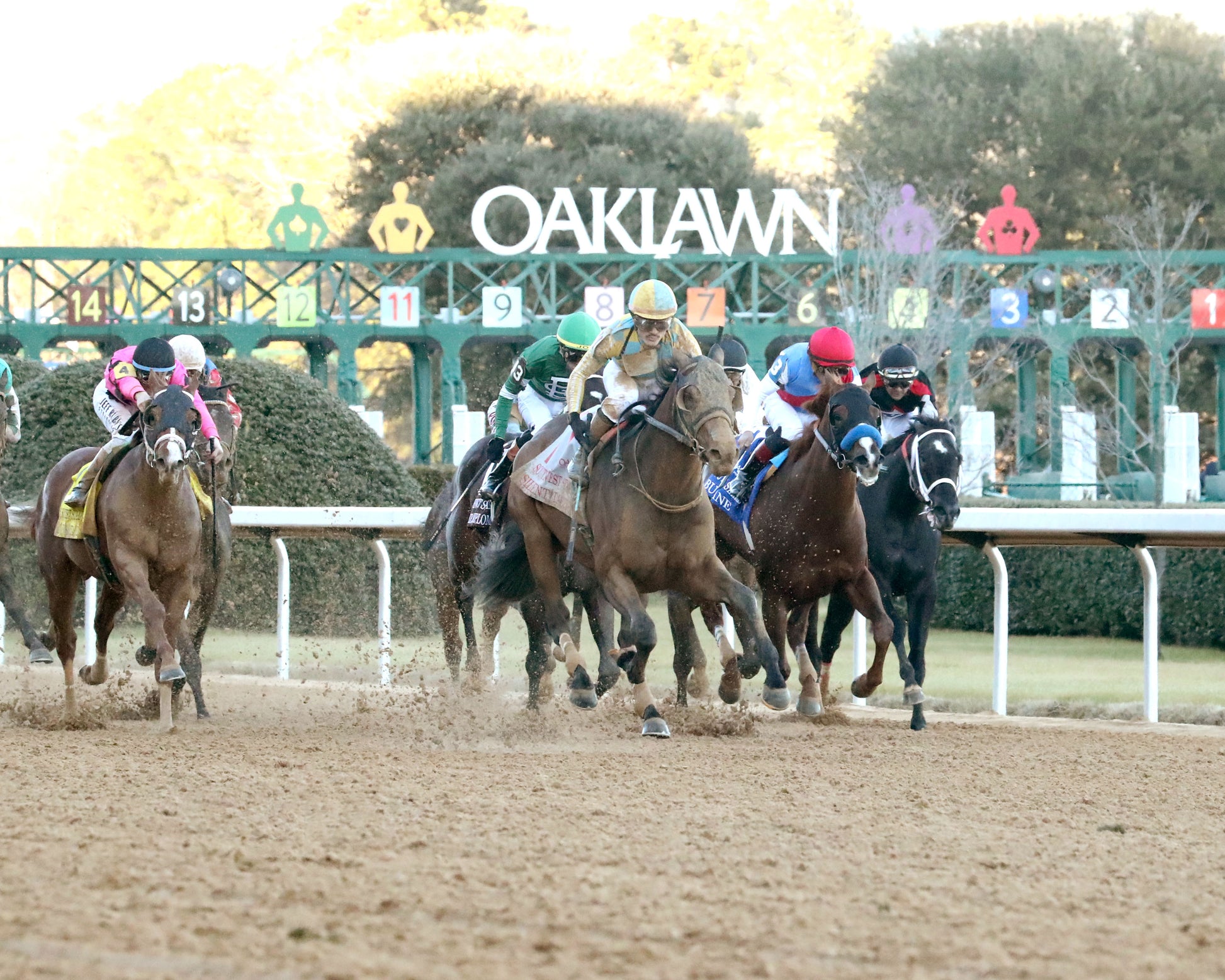 SILENT TACTIC - The Southwest Stakes G3 - 02-06-26 - R11 - OP - Finish 02 - Coady Media - Kurtis Coady Photography