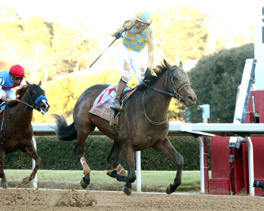 SILENT TACTIC - The Southwest Stakes G3 - 02-06-26 - R11 - OP - Finish 04 - Coady Media - Kurtis Coady Photography